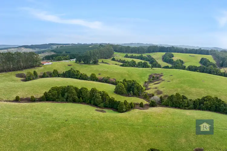 Second view of Homely rural property listing, 295 Beech Forest-Mount Sabine Road, Beech Forest VIC 3237
