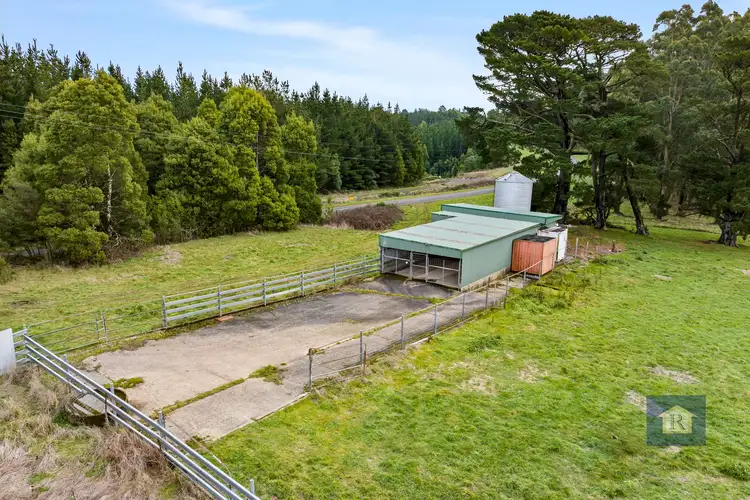Fourth view of Homely rural property listing, 295 Beech Forest-Mount Sabine Road, Beech Forest VIC 3237