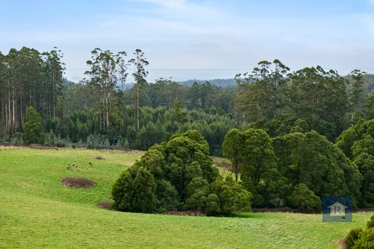 Sixth view of Homely rural property listing, 295 Beech Forest-Mount Sabine Road, Beech Forest VIC 3237
