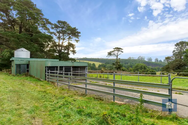Seventh view of Homely rural property listing, 295 Beech Forest-Mount Sabine Road, Beech Forest VIC 3237