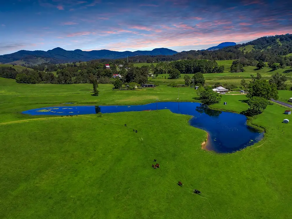 Main view of Homely rural property listing, 2535 Taylors Arm Road, Taylors Arm NSW 2447