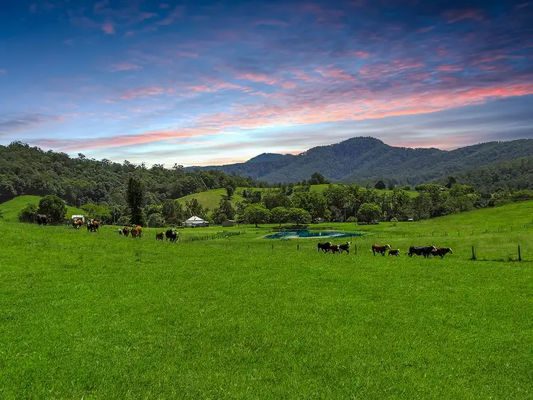 Second view of Homely rural property listing, 2535 Taylors Arm Road, Taylors Arm NSW 2447