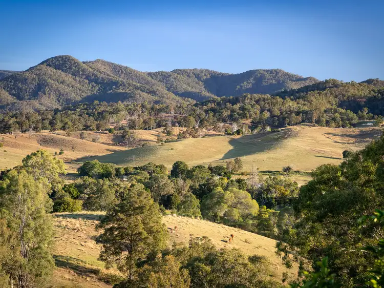 Third view of Homely rural property listing, 251 Mt Pleasant Road, Mount Pleasant QLD 4521
