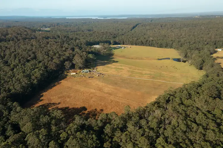 Second view of Homely rural property listing, D1590A Princes Highway, Tomerong NSW 2540