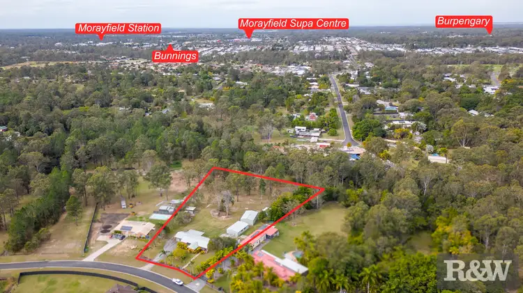 Main view of Homely rural property listing, 109 Riflebird Drive, Upper Caboolture QLD 4510