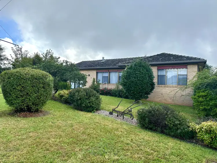 20 Kurrajong Street, Dorrigo NSW 2453