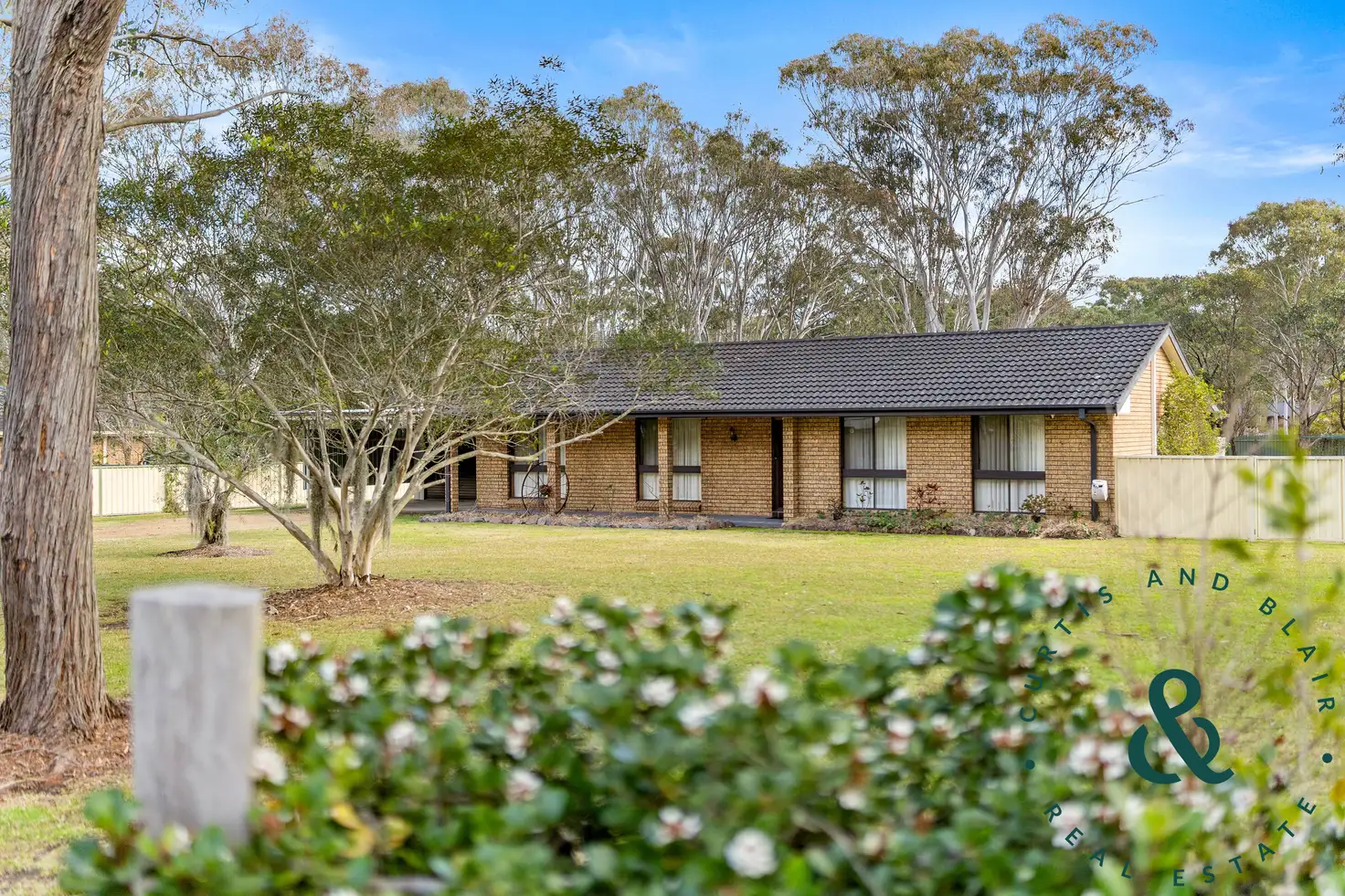 Main view of Homely house listing, 43 Lewis Drive, Medowie NSW 2318