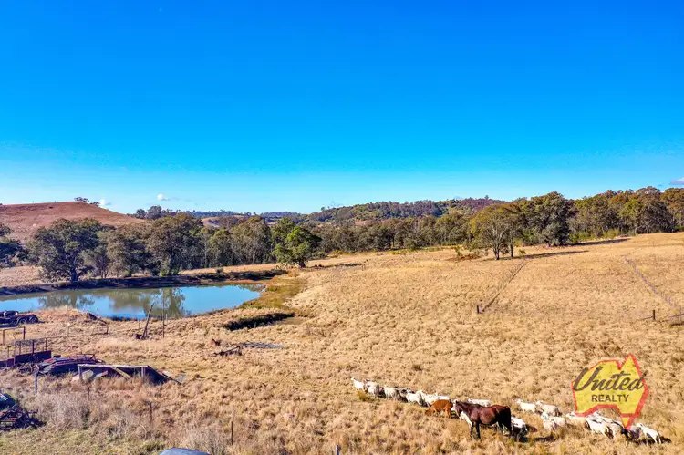 Seventh view of Homely house listing, 15 Mulhollands Road, Picton NSW 2571