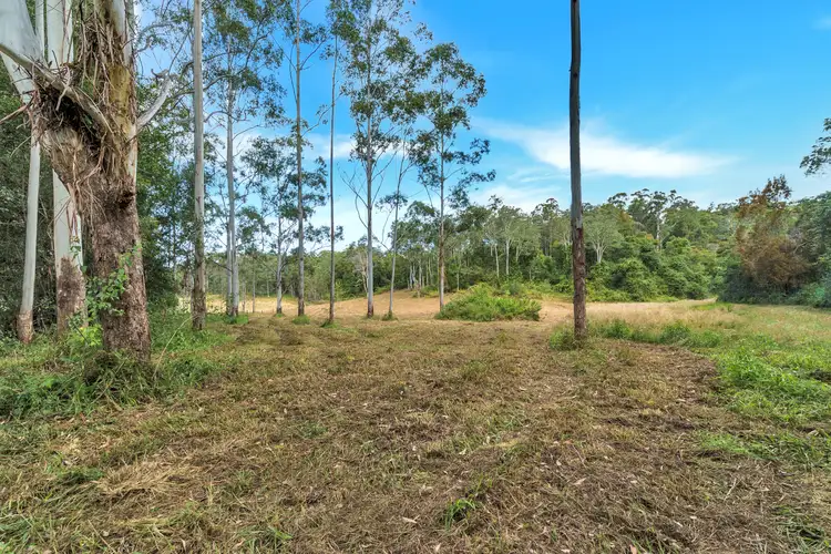 Main view of Homely rural property listing, 59 Basin Road, Brierfield NSW 2454