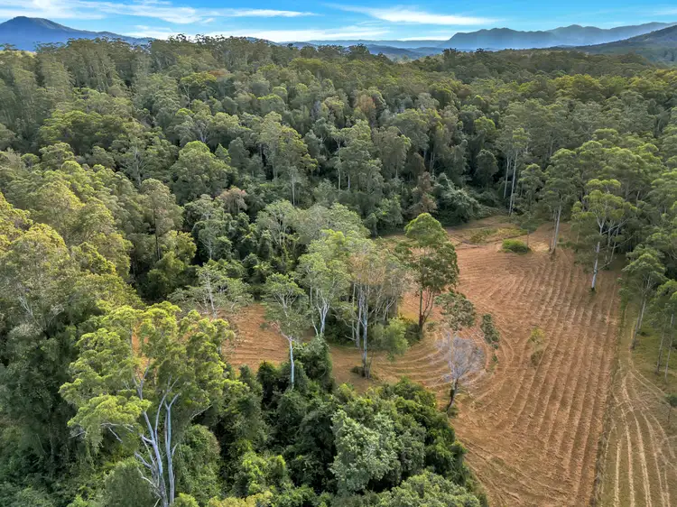Third view of Homely rural property listing, 59 Basin Road, Brierfield NSW 2454