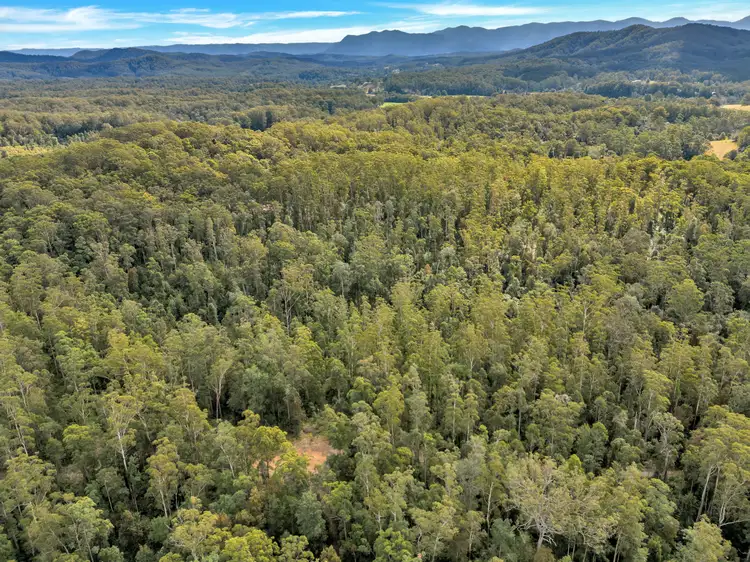 Sixth view of Homely rural property listing, 59 Basin Road, Brierfield NSW 2454