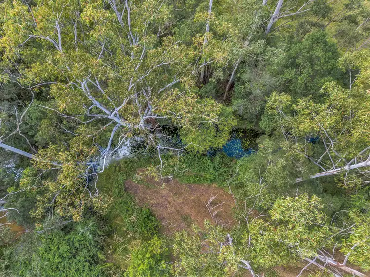 Seventh view of Homely rural property listing, 59 Basin Road, Brierfield NSW 2454