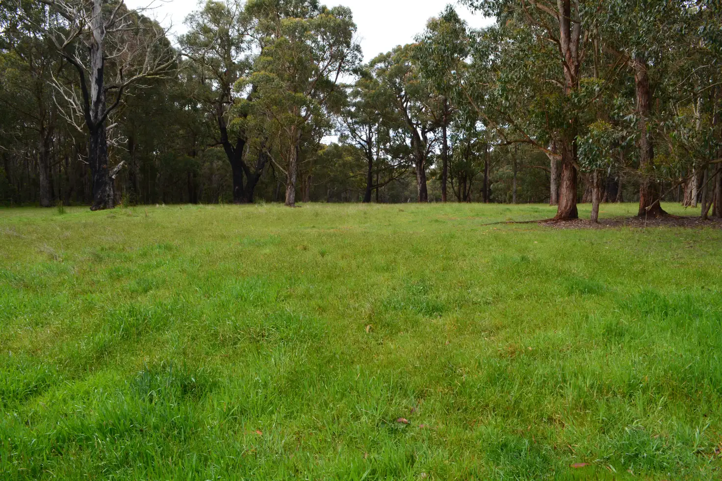 Main view of Homely rural property listing, 195 Robinson Road, Barongarook VIC 3249
