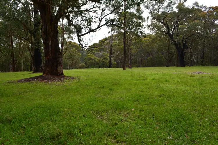 Third view of Homely rural property listing, 195 Robinson Road, Barongarook VIC 3249