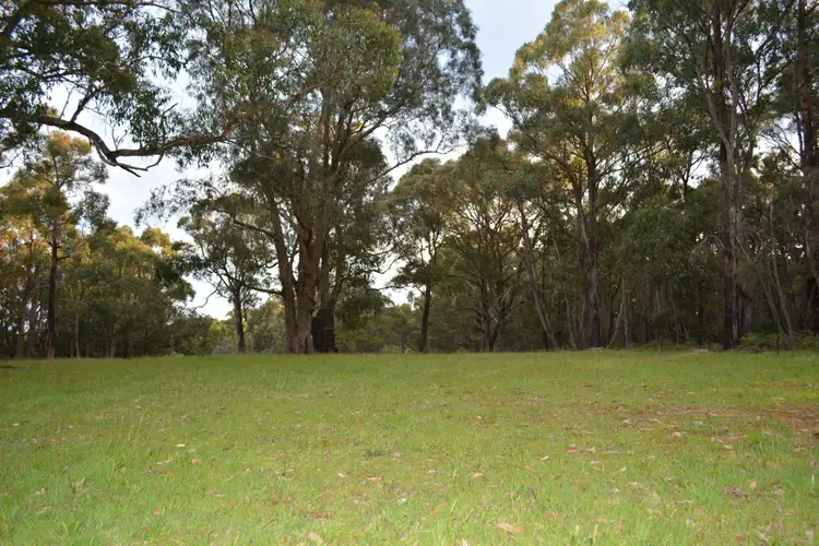Fifth view of Homely rural property listing, 195 Robinson Road, Barongarook VIC 3249