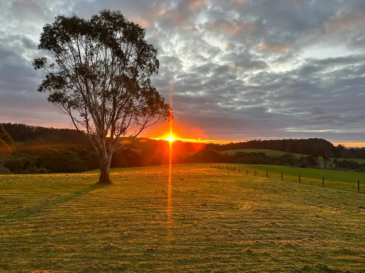 Fourth view of Homely rural property listing, 155 Old Colac Road, Beech Forest VIC 3237