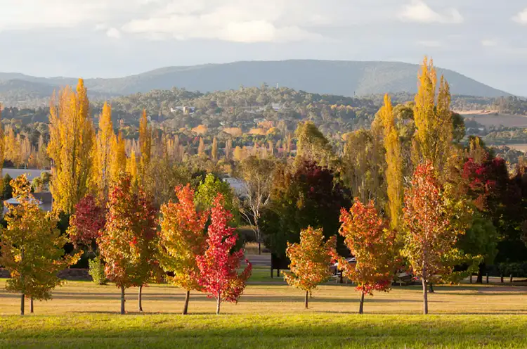 Fourth view of Homely land listing, 30 Bushel Street, Armidale NSW 2350