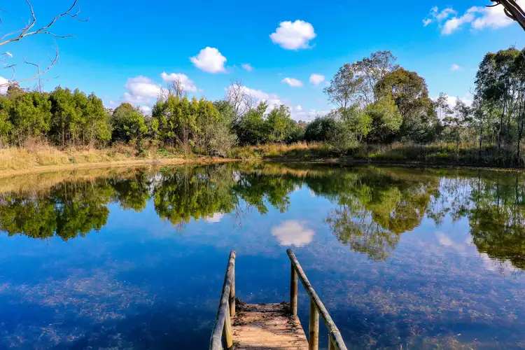 Fifth view of Homely rural property listing, 85 Cheviot Drive, Cobbitty NSW 2570