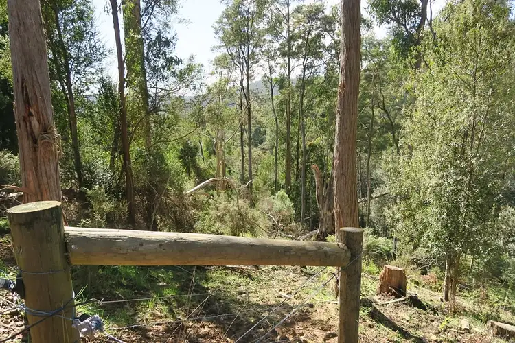 Sixth view of Homely rural property listing, 34 Watts Road, Paradise TAS 7306