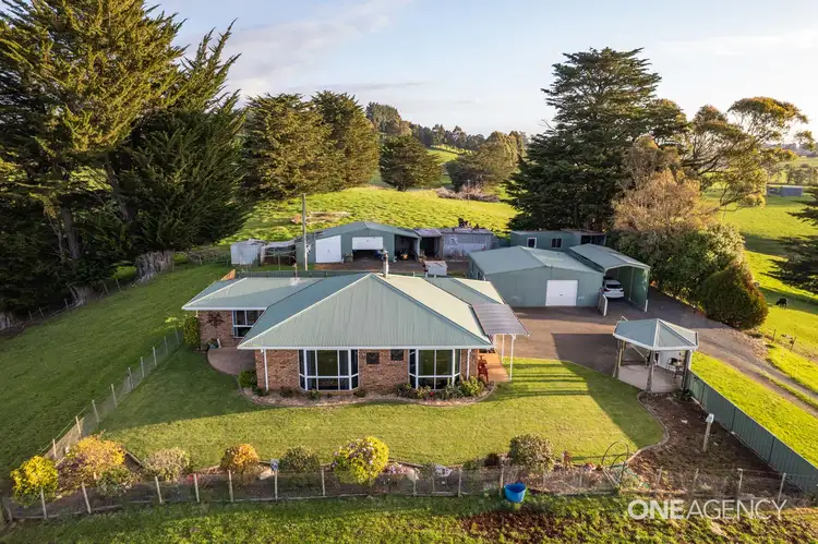734 Ridgley Highway, Ridgley TAS 7321
