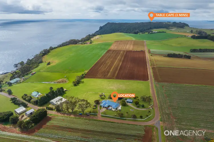 Main view of Homely house listing, 248 Tollymore Road, Table Cape TAS 7325