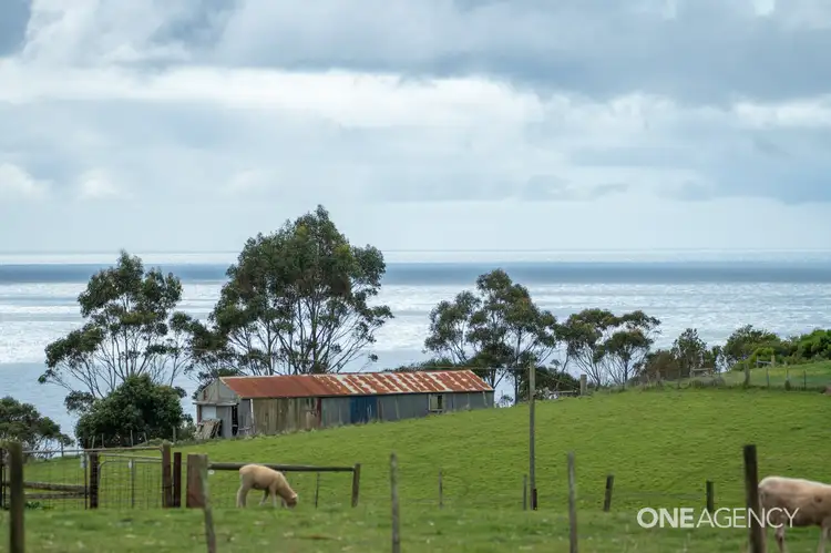 Second view of Homely house listing, 248 Tollymore Road, Table Cape TAS 7325