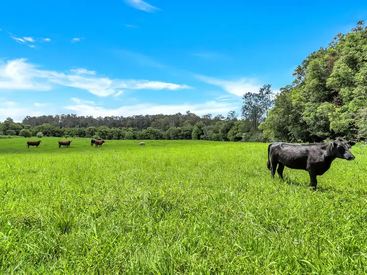Fifth view of Homely land listing, 532 Bowraville Road, Brierfield NSW 2454