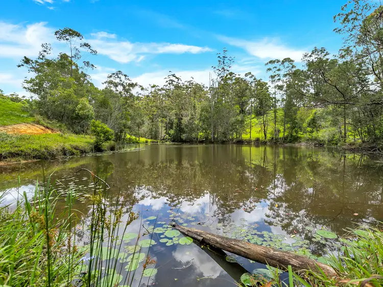 Sixth view of Homely land listing, 532 Bowraville Road, Brierfield NSW 2454