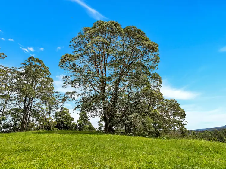 Seventh view of Homely land listing, 532 Bowraville Road, Brierfield NSW 2454