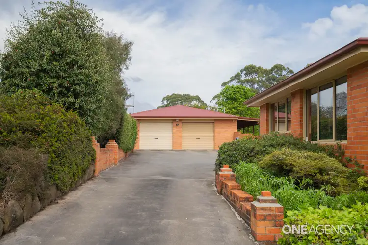 229 Preolenna Road, Flowerdale TAS 7325