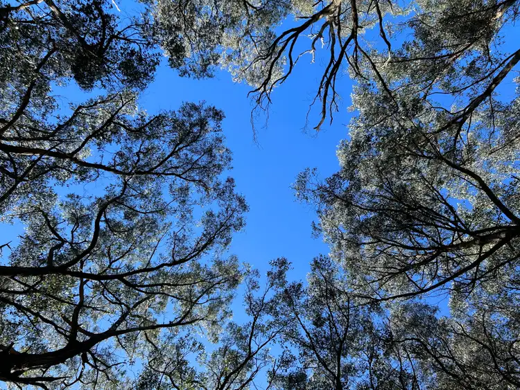 Third view of Homely land listing, 8 Grandeur Drive, East Warburton VIC 3799