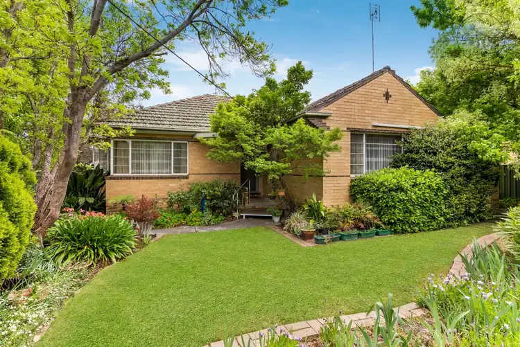 19 Nish Street, Flora Hill VIC 3550