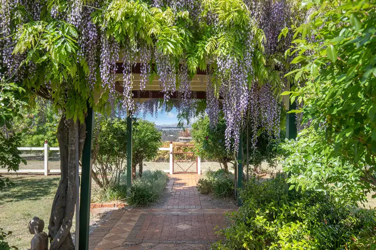 Fifth view of Homely rural property listing, 262 Thunderbolts Way, Uralla NSW 2358