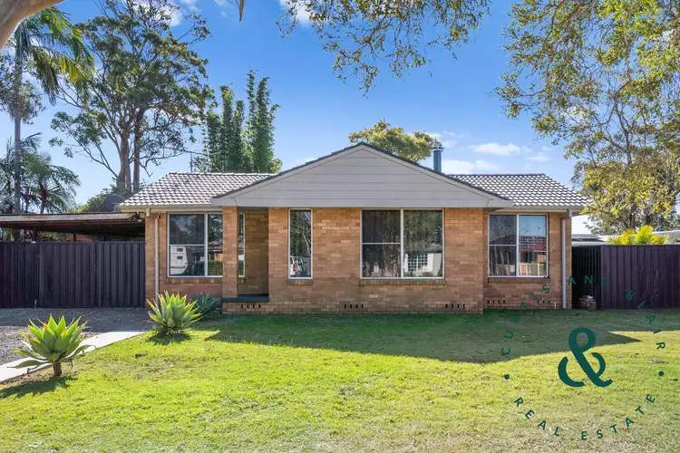 Main view of Homely house listing, 31 Tea Tree Drive, Medowie NSW 2318