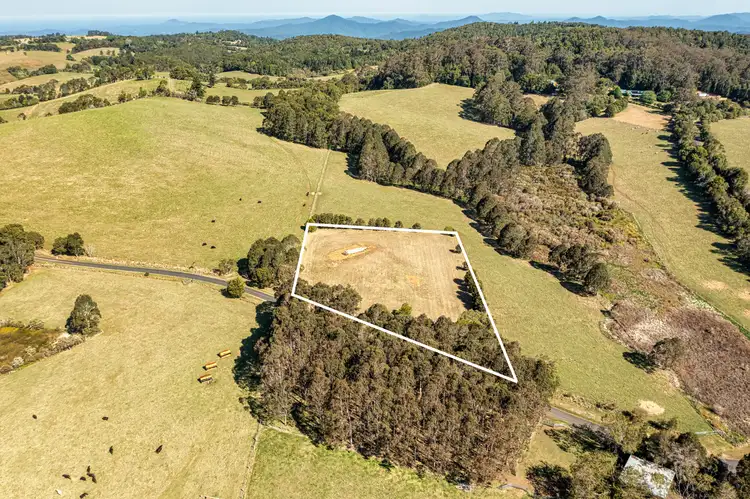 Third view of Homely land listing, 271 Maynards Plains Road, Dorrigo Mountain NSW 2453