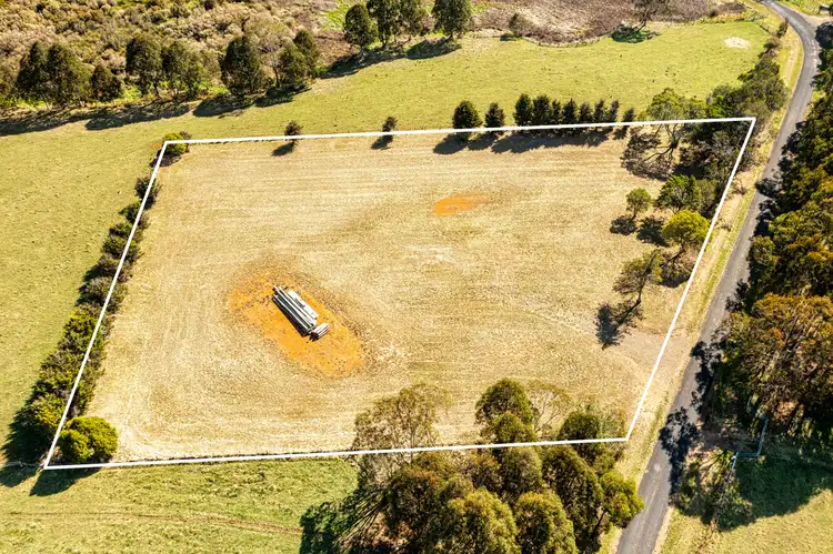 Fifth view of Homely land listing, 271 Maynards Plains Road, Dorrigo Mountain NSW 2453