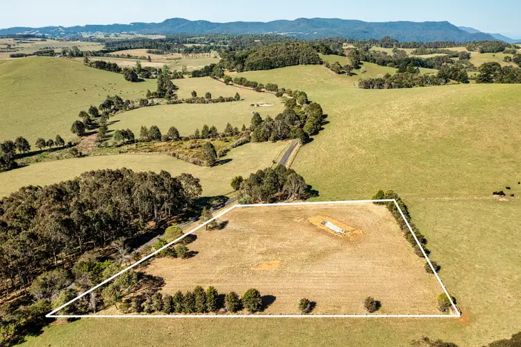 Sixth view of Homely land listing, 271 Maynards Plains Road, Dorrigo Mountain NSW 2453
