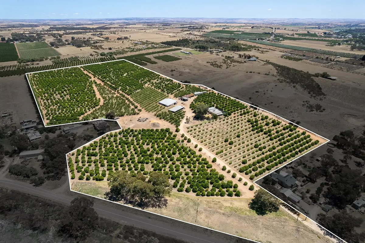 Main view of Homely rural property listing, 347B North Bokara Road, Mypolonga SA 5254