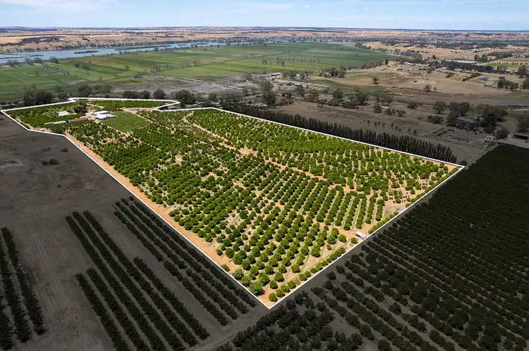 Second view of Homely rural property listing, 347B North Bokara Road, Mypolonga SA 5254