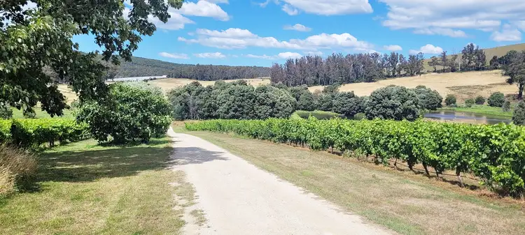 Main view of Homely rural property listing, 167 Adams Road, Lebrina TAS 7254