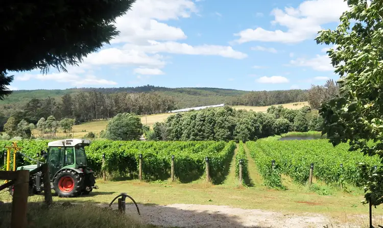 Second view of Homely rural property listing, 167 Adams Road, Lebrina TAS 7254