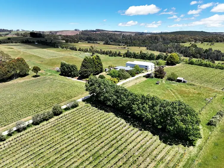 Third view of Homely rural property listing, 167 Adams Road, Lebrina TAS 7254