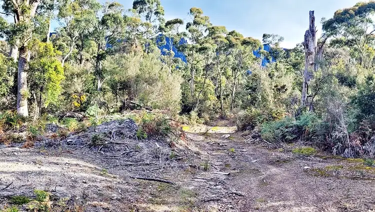 Second view of Homely rural property listing, Lot 2 McCoys Road, Claude Road TAS 7306