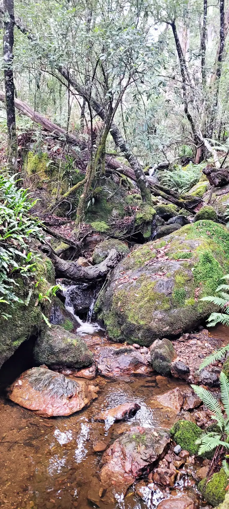 Third view of Homely rural property listing, Lot 2 McCoys Road, Claude Road TAS 7306