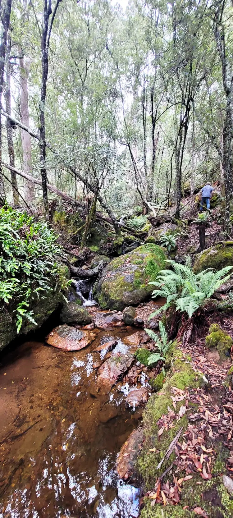 Fourth view of Homely rural property listing, Lot 2 McCoys Road, Claude Road TAS 7306