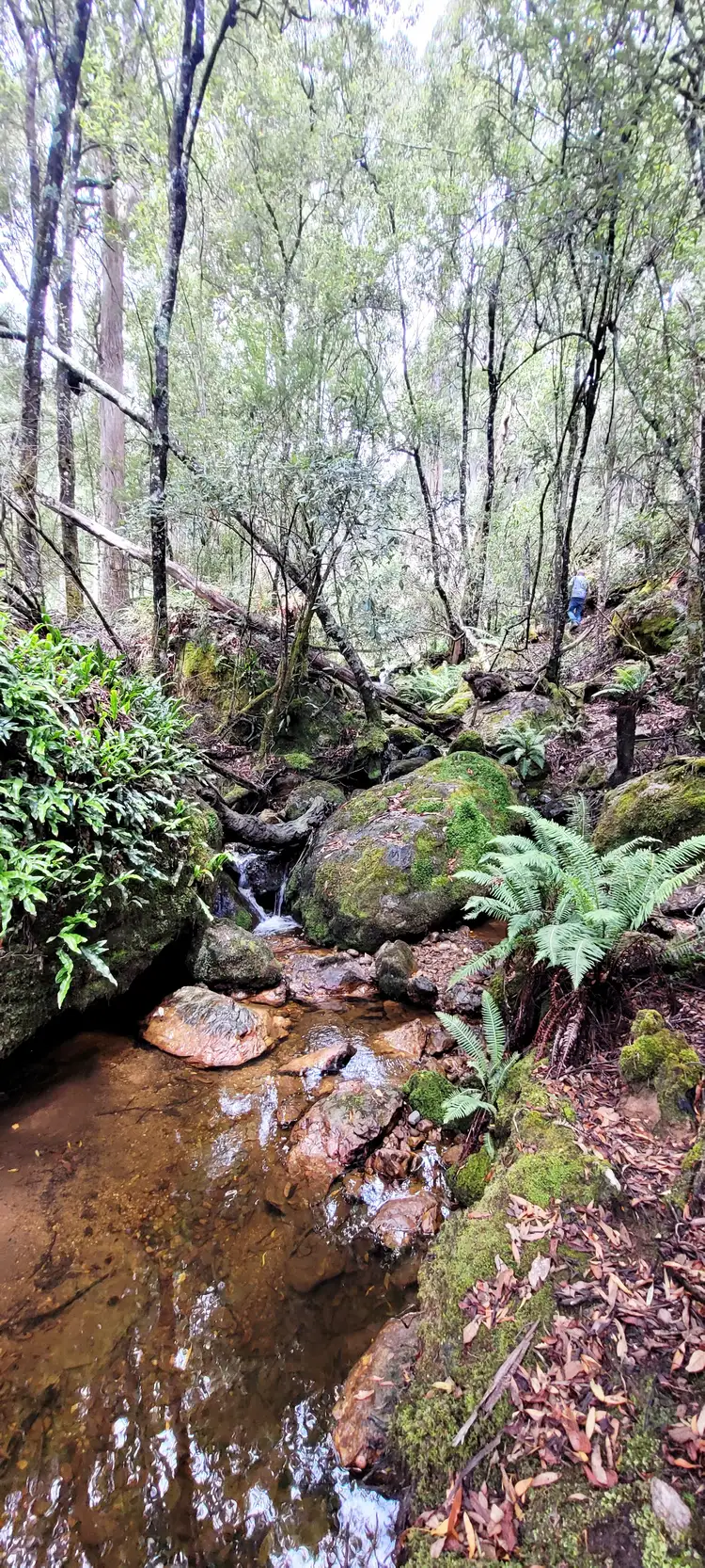 Fifth view of Homely rural property listing, Lot 2 McCoys Road, Claude Road TAS 7306