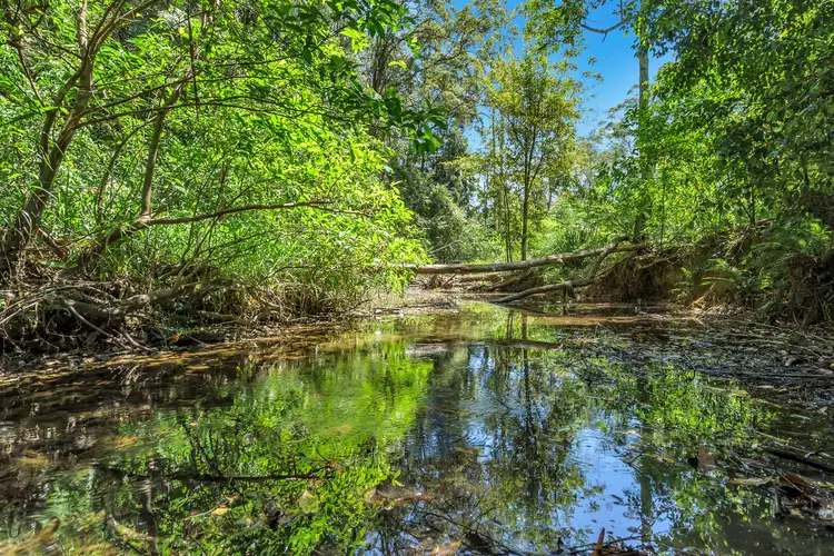 Sixth view of Homely rural property listing, 68-92 Poperaperan Creek Road, Karangi NSW 2450