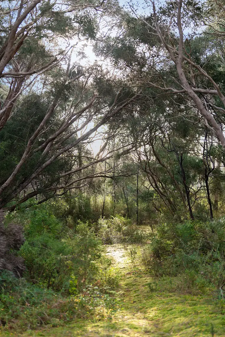 Fifth view of Homely house listing, 14-15 Warrenbeen Court, Barwon Heads VIC 3227
