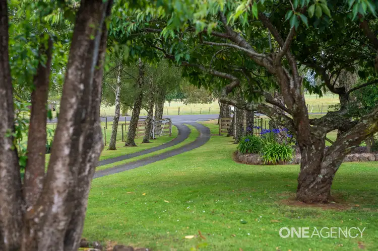 Third view of Homely rural property listing, 235 Poimena Road, West Mooreville TAS 7321
