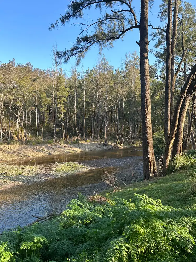 Main view of Homely land listing, 2600 Araluen Road, Deua River Valley NSW 2537